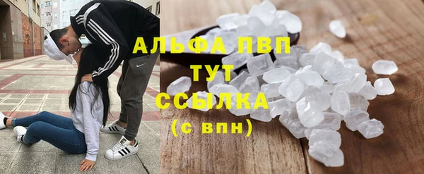 спиды Вязьма