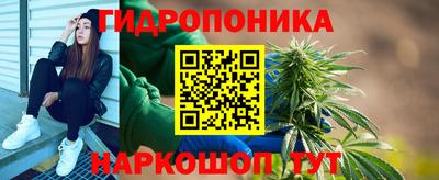спиды Аргун