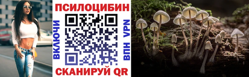 Галлюциногенные грибы Psilocybine cubensis  OMG маркетплейс  Белебей  где купить наркоту 