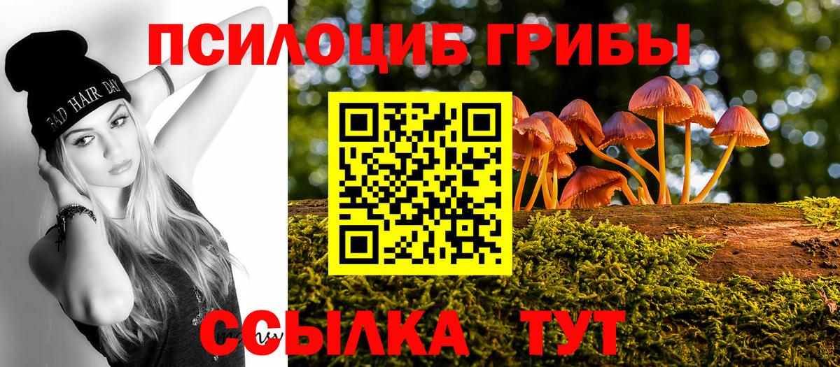 Галлюциногенные грибы Psilocybine cubensis  Псилоцибиновые грибы ЛСД  Вход с VPN  Белебей 